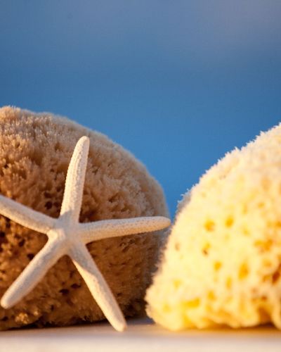 Φυσικό σφουγγάρι Καλύμνου Καπάδικο