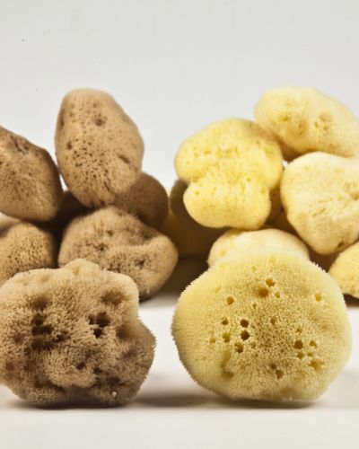 Φυσικό σφουγγάρι Καλύμνου Φίνο