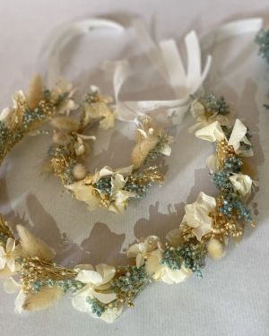 ‘Λεύκη Ορτανσία’