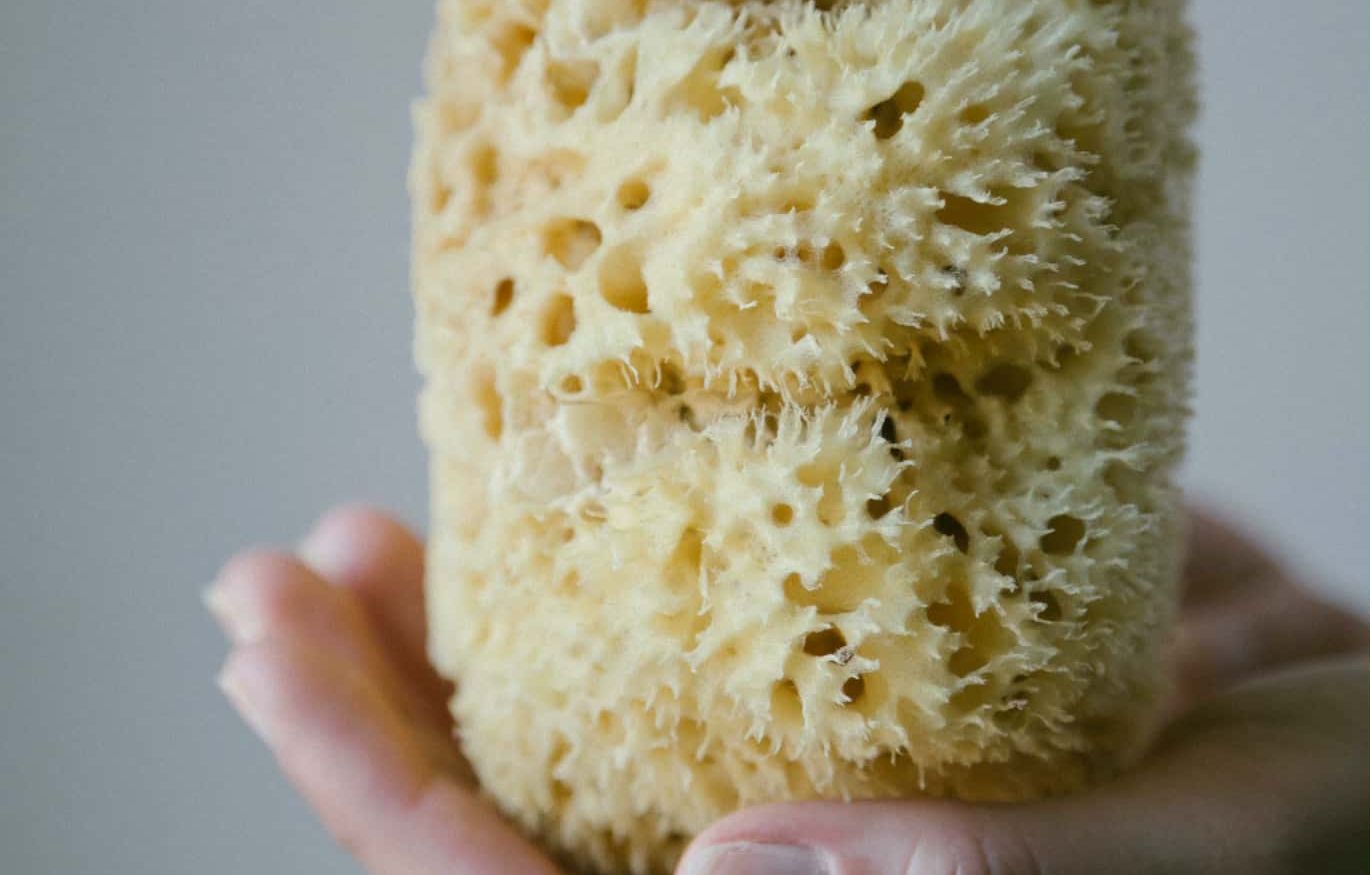 Του τόπου μου