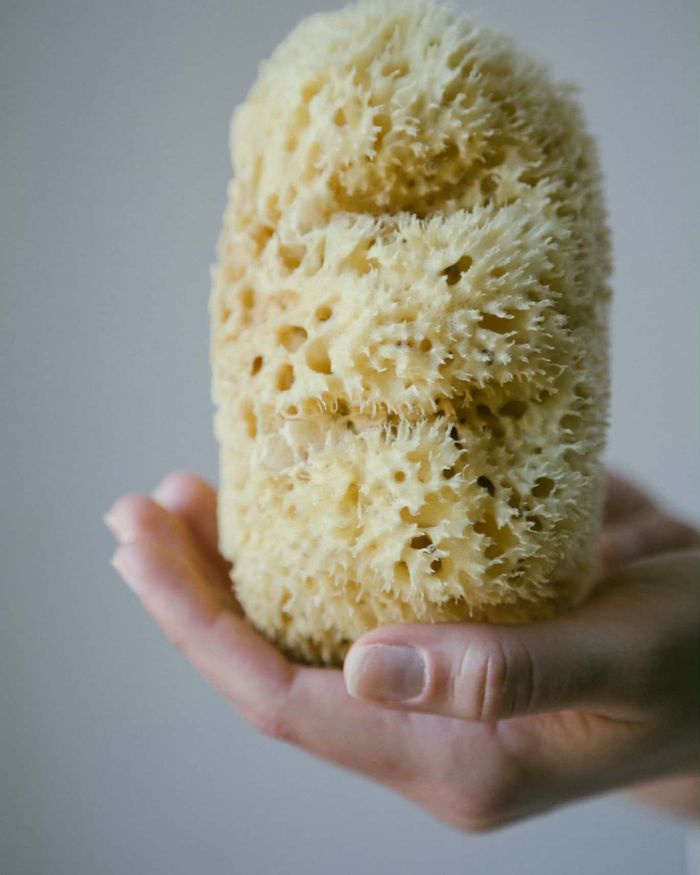 Του τόπου μου